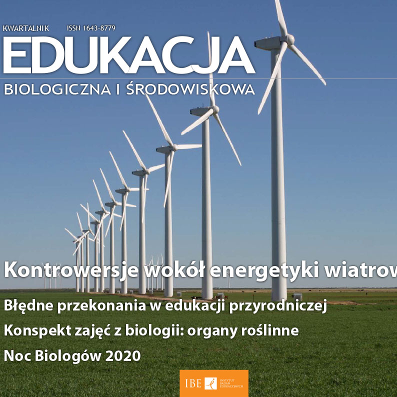 Instytut Badań Edukacyjnych ebis 2018 4 ico