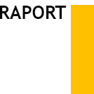 icon raport