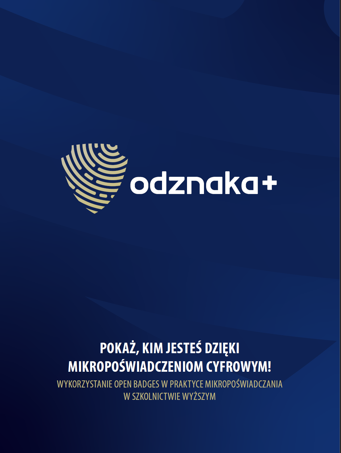 Pobierz publikację